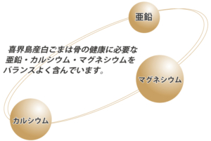 喜界島産白ごまは骨の健康に必要な栄養素、亜鉛・カルシウム・マグネシウムをバランスよく含んでいます