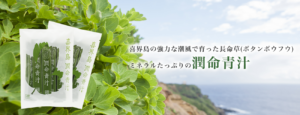 喜界島の強力な潮風で育った長命草(ボタンボウフウ)　ミネラルたっぷりの潤命青汁