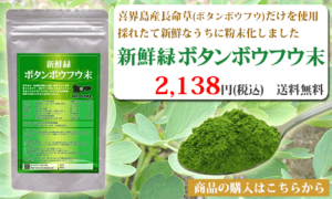 喜界島産長命草(ボタンボウフウ)だけを使用　採れたて新鮮なうちに粉末化しました。新鮮緑ボタンボウフウ粉末
