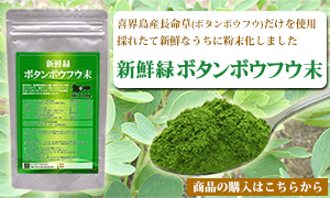 喜界島産長命草(ボタンボウフウ)だけを使用　採れたて新鮮なうちに粉末化しました。新鮮緑ボタンボウフウ粉末