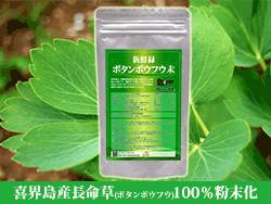 喜界島産の長命草を100％使用　新鮮緑ボタンボウフウ末の簡単レシピへ