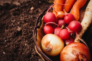 体にうれしい食物繊維