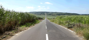 喜界島　シュガーロード