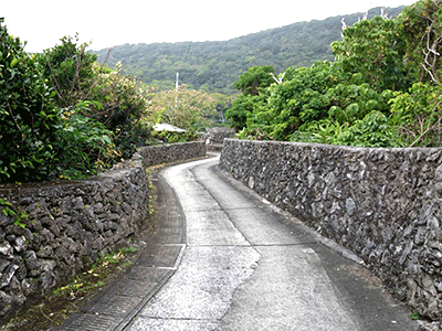 奄美群島国立公園の一部　喜界島　阿伝の石垣